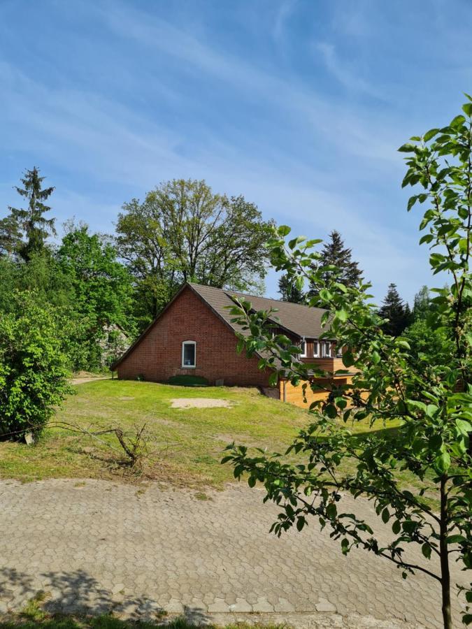 Appartamento Dammann'S Hof Bispingen Esterno foto
