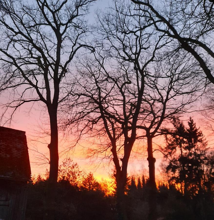 Appartamento Dammann'S Hof Bispingen Esterno foto