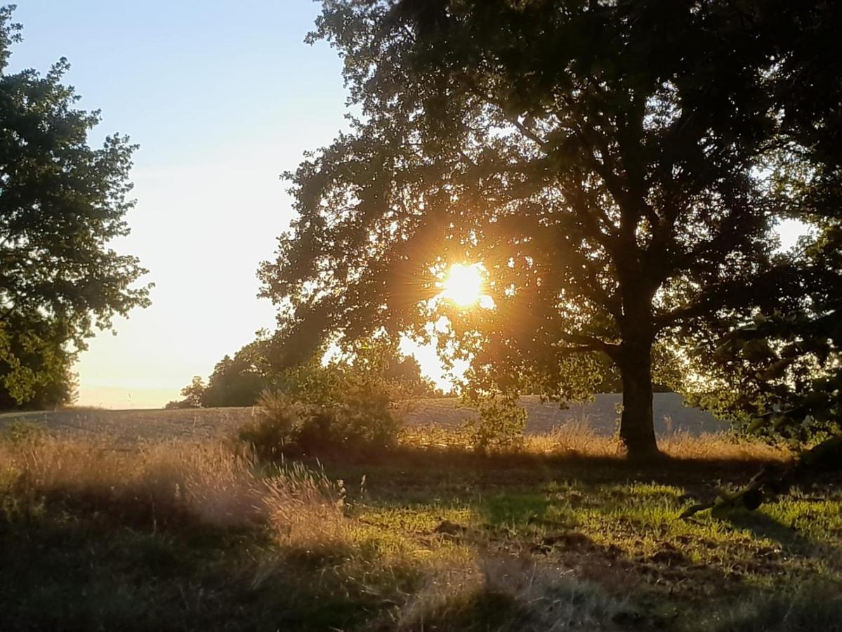 Appartamento Dammann'S Hof Bispingen Esterno foto