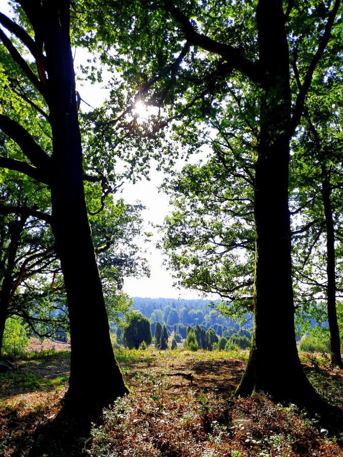 Appartamento Dammann'S Hof Bispingen Esterno foto