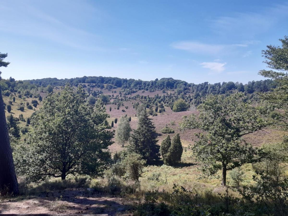 Appartamento Dammann'S Hof Bispingen Esterno foto